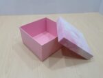 Boxes With Clear Lids Wholesale 3